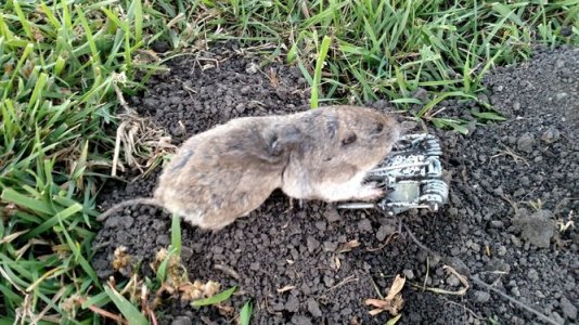 IMG_20160929_191556051.jpg IMG_20160929_191556051.jpg