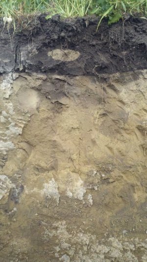 Krotovina.jpg Krotovina.jpg