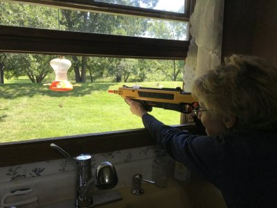 IMG_4893.jpg IMG_4893.jpg