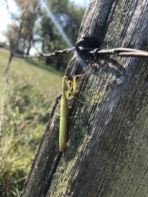 IMG_1047.jpg IMG_1047.jpg