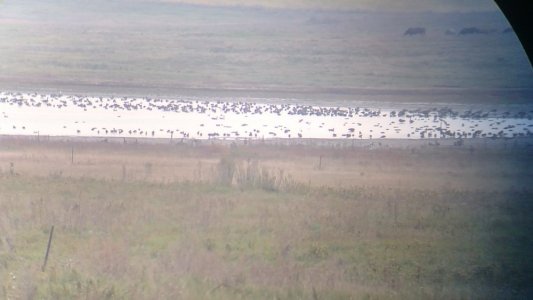 Screenshot_20171001-081144.jpg Screenshot_20171001-081144.jpg