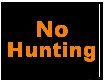 printable-no-hunting-orange.gif