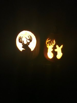 Pumpkins 2.jpg