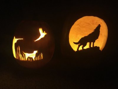 pumpkin 4.jpg