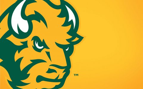 Bison2_yellow_1920x1200.jpg Bison2_yellow_1920x1200.jpg