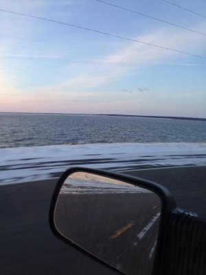 DLmain bay nov 9 2017.jpg