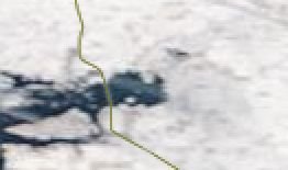 image-download (1).jpg