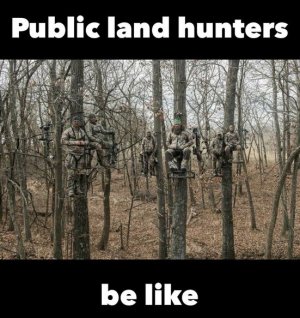 PublicHunting.jpg