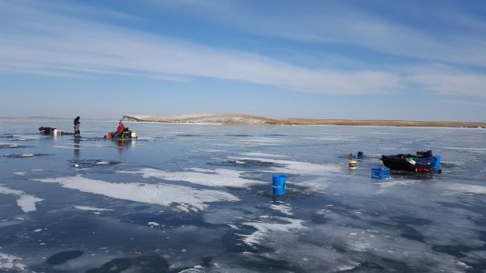 Nelson Bay Nov 2017.jpg
