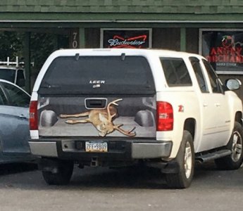 an-char-leer-ff-9809-a-dead-deer-decal-in-the-29010510.jpg an-char-leer-ff-9809-a-dead-deer-decal-in-the-29010510.jpg