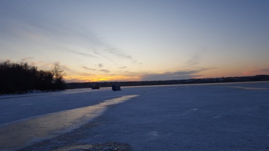 Darling Nov 2017.jpg