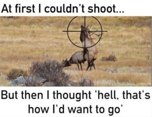 377d9c5a1de5e6e3f901426620002829-hunting-guns-hunting-stuff-min-300x231.jpg