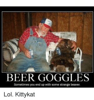 beer-goggles-sometimes-you-end-up-with-some-strange-beaver-29160253.jpg