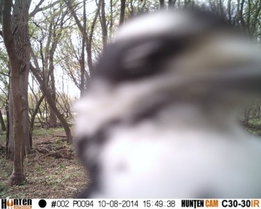 HUNT0094 (2).jpg HUNT0094 (2).jpg