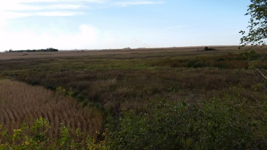 20150928_173815.jpg 20150928_173815.jpg