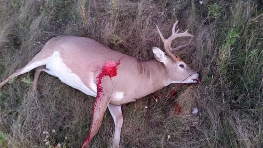 20150928_192810.jpg 20150928_192810.jpg