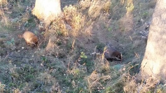 20150928_185522.jpg 20150928_185522.jpg