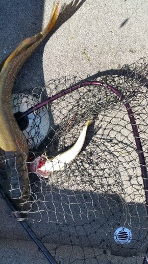 20150912_111845_001.jpg 20150912_111845_001.jpg