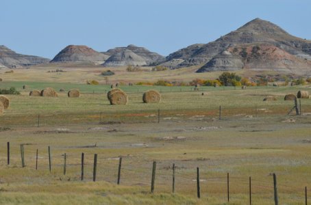 DSC_0720.jpg DSC_0720.jpg