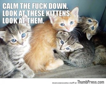 funny-animals-with-words-14-cool-hd-wallpaper.jpg funny-animals-with-words-14-cool-hd-wallpaper.jpg