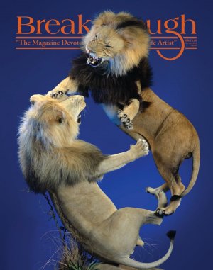 dakota cover.jpg dakota cover.jpg