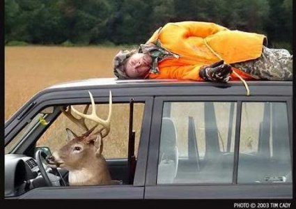 funny-deer-hunting-pictures.jpg
