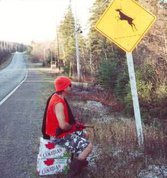hunting-deer-crossing.jpg