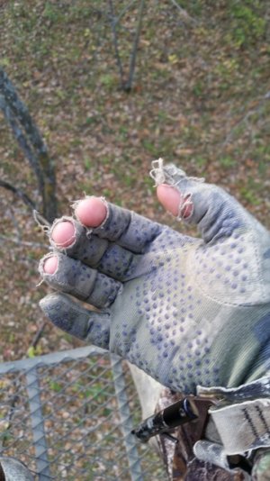 20151002_164347.jpg 20151002_164347.jpg