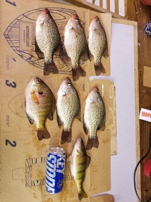 20180108_201636.jpg 20180108_201636.jpg