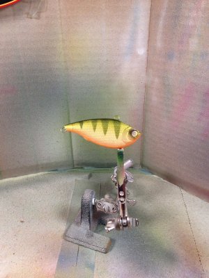 natural perch.jpg natural perch.jpg