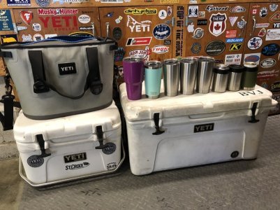 myyeti.jpg myyeti.jpg