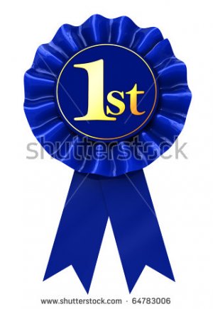 stock-photo--d-illustration-of-first-place-blue-ribbon-over-white-background-64783006.jpg