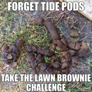 27658100_1998431397078795_4771928723859109209_n.jpg 27658100_1998431397078795_4771928723859109209_n.jpg