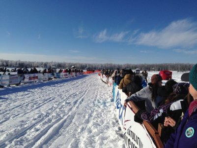 Iditarod#1.jpg