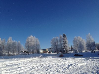 Iditarod#2.jpg