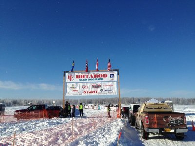 Iditarod#3.jpg