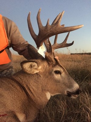 IMG_1335.jpg IMG_1335.jpg