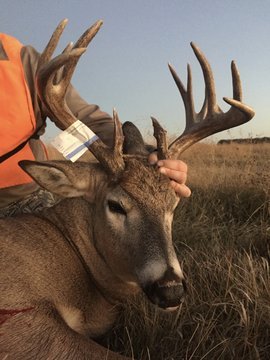 fullsizeoutput_6876.jpg fullsizeoutput_6876.jpg