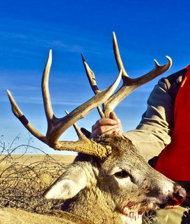 fullsizeoutput_6879.jpg fullsizeoutput_6879.jpg