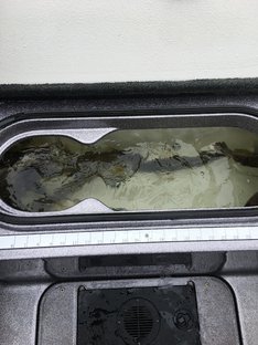 14106BD7-8646-4E6C-91E5-DC6343FCBC63.jpg 14106BD7-8646-4E6C-91E5-DC6343FCBC63.jpg