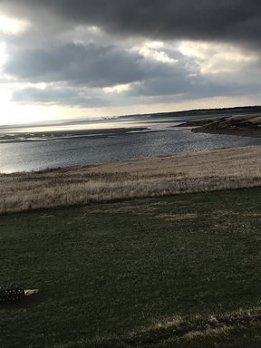 7BD0AD44-48A1-404C-B1CB-7F594538FCA4.jpg 7BD0AD44-48A1-404C-B1CB-7F594538FCA4.jpg