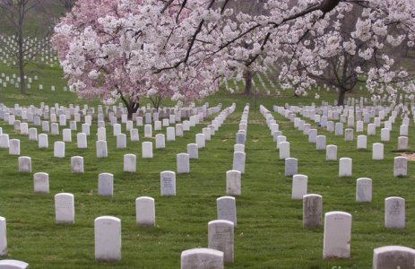 graves-of-heros-in-arlington-national-cemetery-tim-grams.jpg