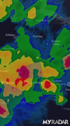 IMG_0206.JPG IMG_0206.JPG