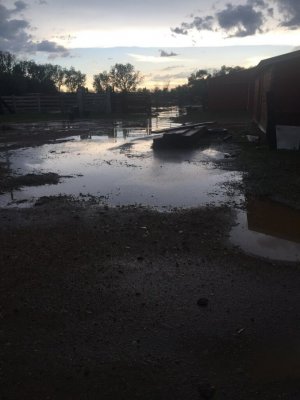 IMG_0208.jpg IMG_0208.jpg