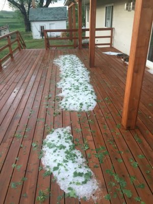 IMG_0209.jpg IMG_0209.jpg