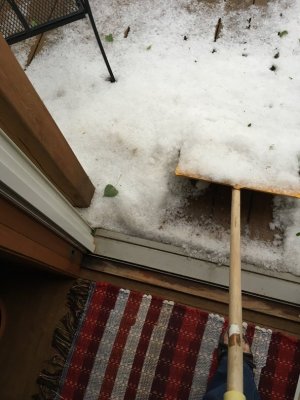 IMG_0210.jpg IMG_0210.jpg