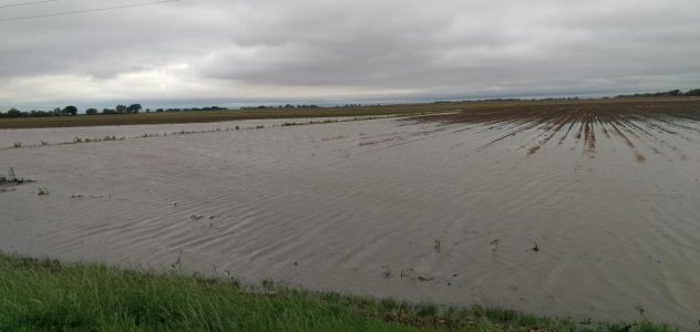 flooded-field.jpg