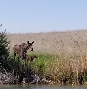 20180603_161718.jpg 20180603_161718.jpg