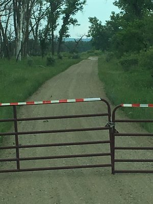 04174114-AD78-4B82-8386-66E59BBA1D3D.jpg 04174114-AD78-4B82-8386-66E59BBA1D3D.jpg