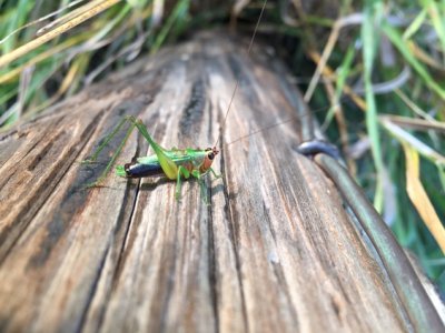 2015-09-11 19.06.44.jpg 2015-09-11 19.06.44.jpg